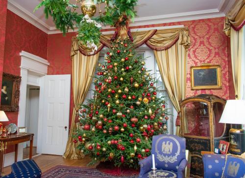 A beautifully decorated Christmas tree stands in a festive room with red wallpaper and elegant drapes.
