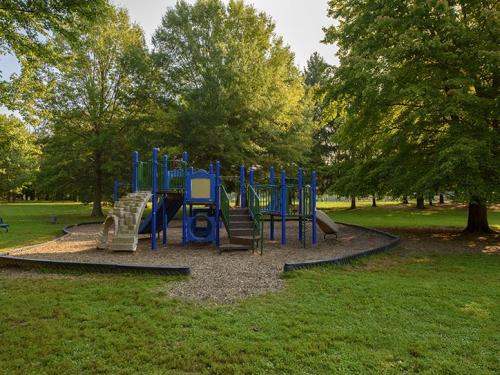 A colorful playground with slides and climbing structures, surrounded by green grass and trees in a sunny park.