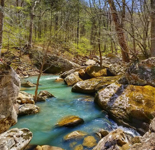 A serene river flows through a rocky landscape, surrounded by trees and greenery under a clear blue sky.