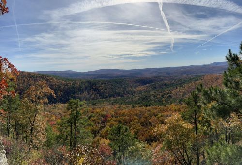 A panoramic view of a colorful autumn landscape with rolling hills and a clear blue sky.
