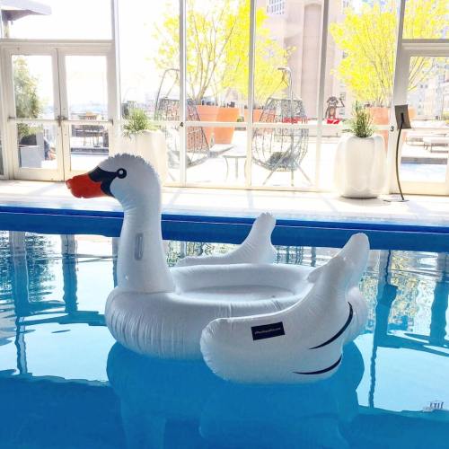 A large inflatable swan floats in a pool, surrounded by bright greenery and modern decor.
