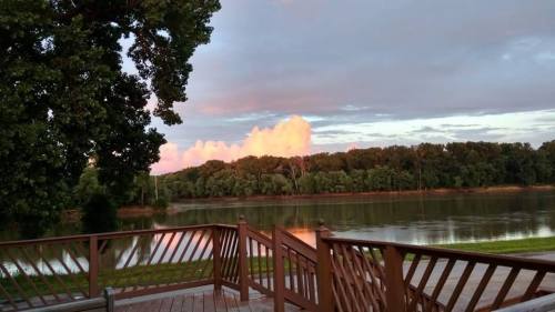 A serene river scene at sunset, with pink clouds reflecting over calm water and lush green trees in the background.