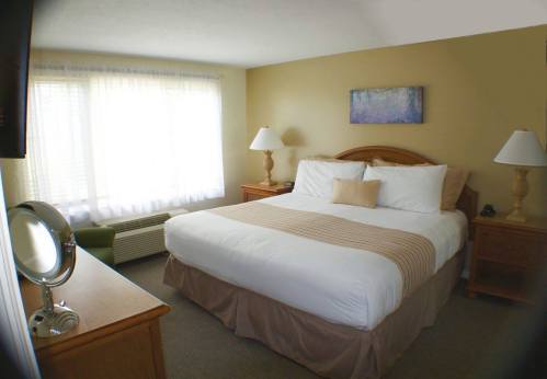 Cozy hotel room with a large bed, two lamps, a dresser, and windows letting in natural light.