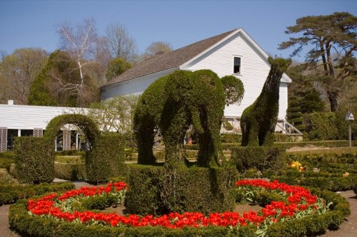 Topiary sculptures of elephants and a camel surrounded by colorful flowers in a garden with a white building in the background.