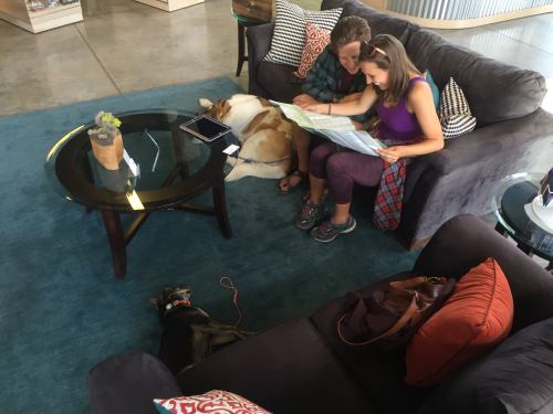 A couple sits on a couch, looking at a map, with two dogs resting nearby in a cozy living room setting.
