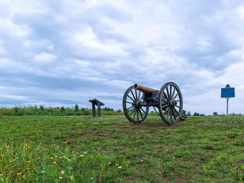 A historic cannon on a grassy field under a cloudy sky, with a sign nearby.