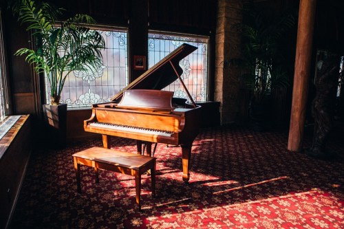 A grand piano with a bench sits in a sunlit room, surrounded by plants and stained glass windows.