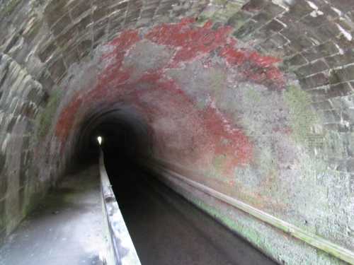 A dark, arched tunnel with brick walls, featuring moss and a faint light at the far end, leading to a waterway.