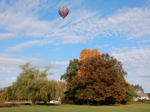 A colorful hot air balloon floats above trees with autumn foliage under a blue sky with scattered clouds.