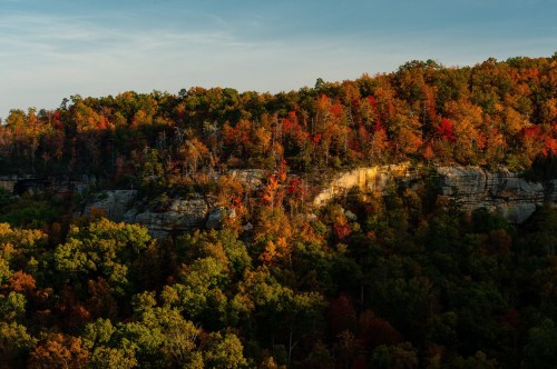 A scenic view of a forested cliff with vibrant autumn foliage in shades of red, orange, and green under a clear sky.