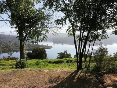 A serene landscape featuring a calm lake surrounded by trees and lush greenery under a clear sky.
