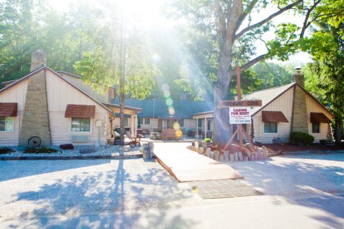 A cozy cabin with a sign reading "Cabin for Rent," surrounded by trees and sunlight.