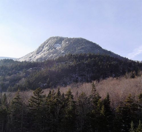 A snow-capped mountain rises above a dense forest under a clear blue sky.
