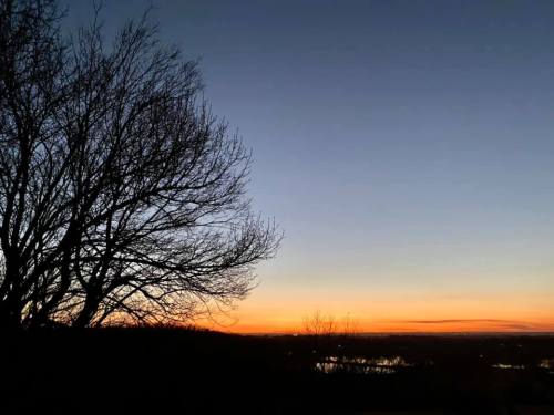 Silhouette of a bare tree against a vibrant sunset sky with orange and blue hues over a calm landscape.