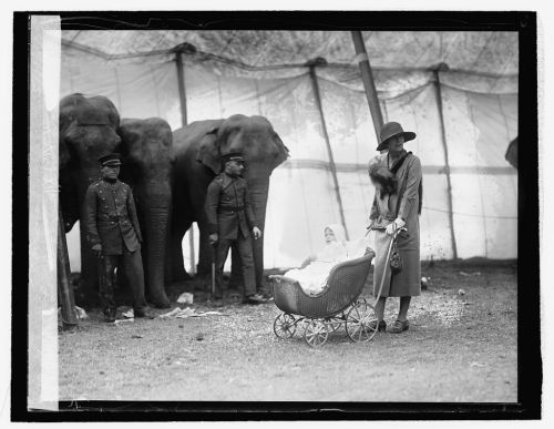 A woman in a hat pushes a baby stroller near elephants, with two soldiers standing nearby in a tented area.