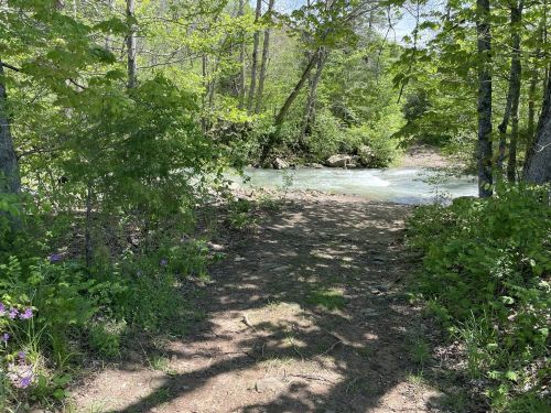 A serene path through lush greenery leading to a gently flowing river. Sunlight filters through the trees.
