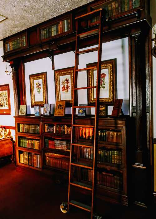 A wooden bookshelf filled with colorful books, featuring a ladder and framed floral artwork on the wall.