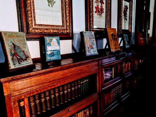 A wooden bookshelf displays vintage books and framed botanical prints on the wall behind.
