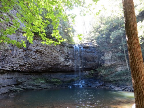 A serene waterfall cascades over rocky cliffs into a calm pool, surrounded by lush green trees.