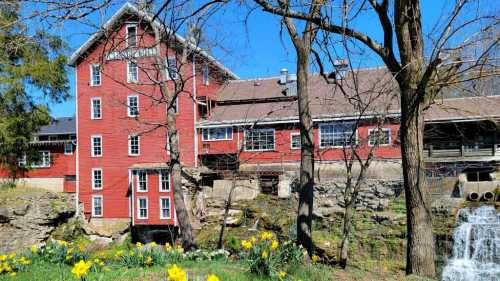 A red historic building beside a waterfall, surrounded by trees and blooming yellow daffodils under a clear blue sky.