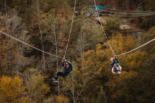 Two people ziplining through a forest with autumn foliage, enjoying an outdoor adventure.
