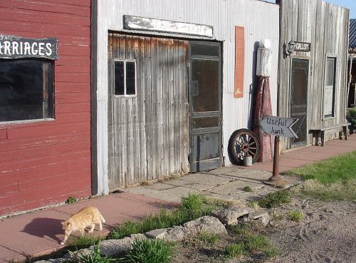 A cat walks past old buildings with signs, including "Useful Junk," in a rustic outdoor setting.