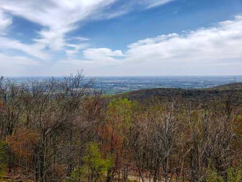 A panoramic view of rolling hills and valleys under a partly cloudy sky, with trees in the foreground.