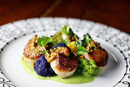 A plate of seared scallops on a bed of green puree, garnished with colorful cauliflower and microgreens.