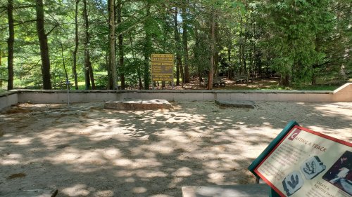 A sandy area in a forest with informational signs and trees in the background, indicating a nature trail.