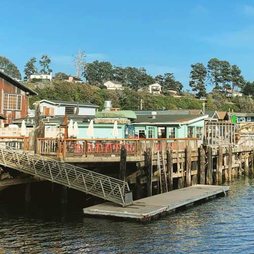 A waterfront restaurant with outdoor seating, surrounded by trees and houses, on a sunny day.