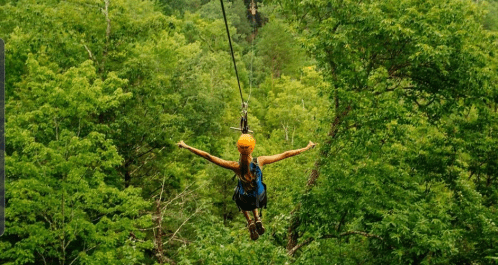 A person zip-lining through lush green trees, arms outstretched, enjoying an adventurous outdoor experience.