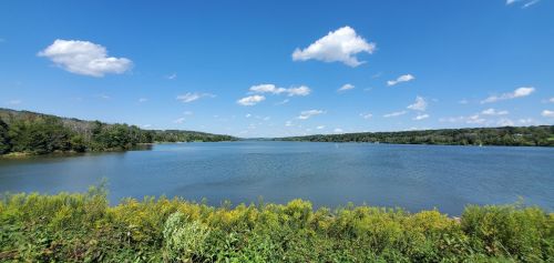 A serene lake surrounded by greenery under a clear blue sky with fluffy clouds.