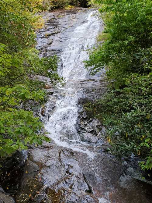 A serene waterfall cascading down rocky terrain, surrounded by lush green foliage.