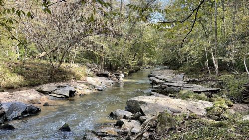 A serene stream flows through a wooded area, surrounded by rocks and lush greenery under a clear blue sky.
