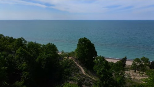 Aerial view of a serene beach with lush greenery and calm blue waters under a clear sky.