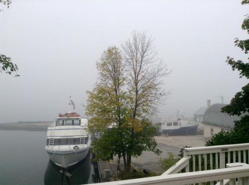 A foggy scene at a marina with boats docked and a tree in the foreground, creating a serene, misty atmosphere.