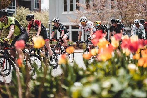 A group of cyclists racing past colorful tulips in a city setting during a cycling event.
