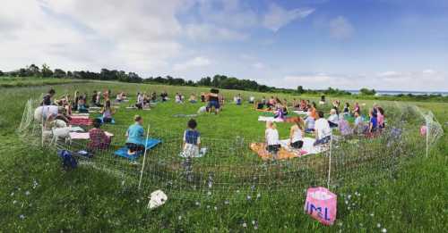 A large group of people practicing yoga outdoors on mats in a grassy field, surrounded by a wire fence.