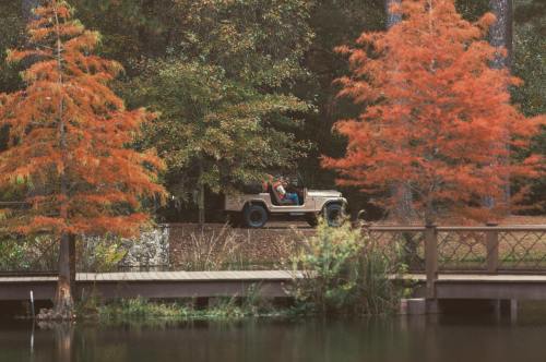 A jeep parked by a serene lake, surrounded by vibrant autumn trees and lush greenery.