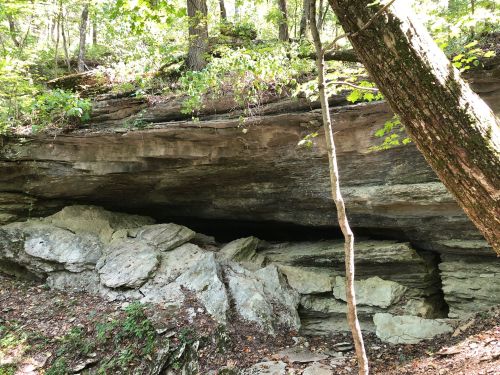 A rocky overhang in a forest, surrounded by trees and greenery, with large stones at the base.