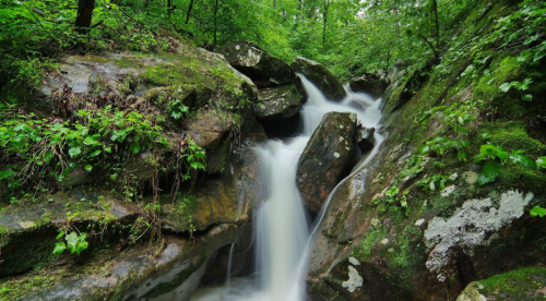 A serene waterfall cascades over moss-covered rocks in a lush green forest.