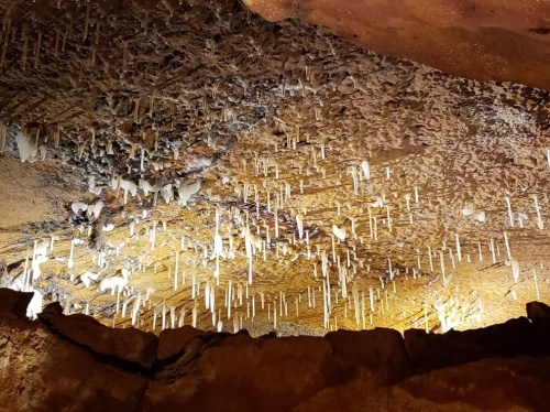 Stalactites hang from a rocky cave ceiling, illuminated by soft lighting, creating a dramatic underground scene.