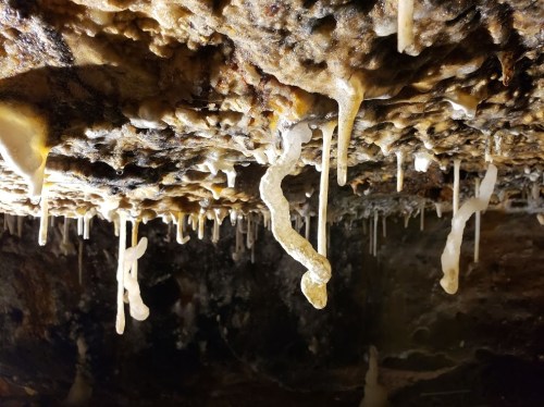 Stalactites and mineral formations hang from a cave ceiling, with dripping water creating a textured surface.