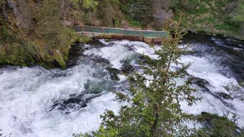 A rushing river flows over rocks, surrounded by lush greenery and a wooden platform in the background.