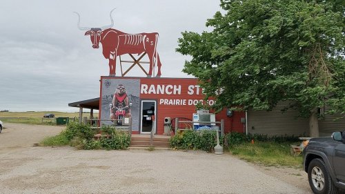 A rustic ranch store with a large bull sign on top, surrounded by greenery and gravel parking.