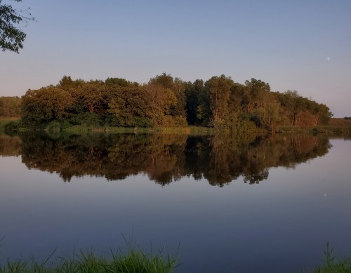 A serene lake reflecting a lush green island and trees under a clear sky at dusk.