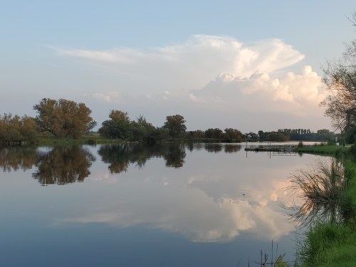 A serene lake reflecting clouds and trees, with calm waters and a peaceful landscape under a clear sky.