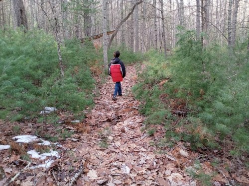 A child in a red jacket walks along a leaf-covered path in a wooded area surrounded by greenery.