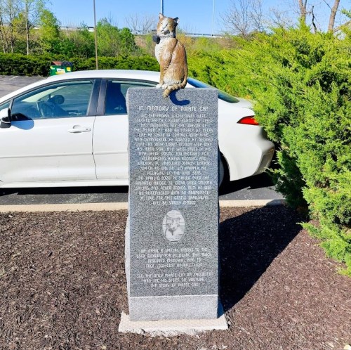 A memorial stone for a pet cat, featuring an owl sculpture on top, surrounded by greenery and a parked car.