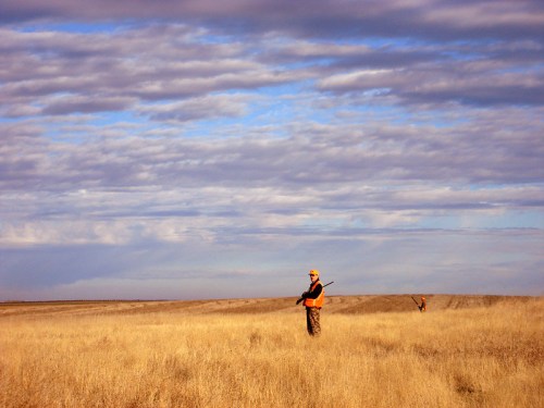 A hunter in an orange vest stands in a grassy field under a cloudy sky, with another figure in the background.